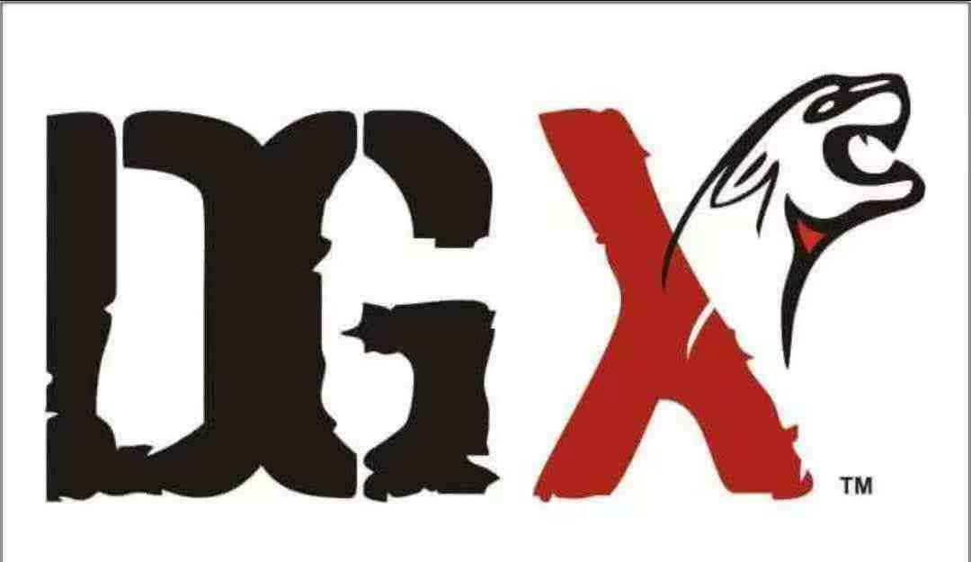 DGX LEATHER